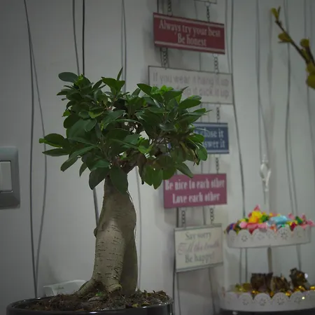 C'est La Vie Ρώμη